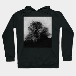 The Witches tree Hoodie